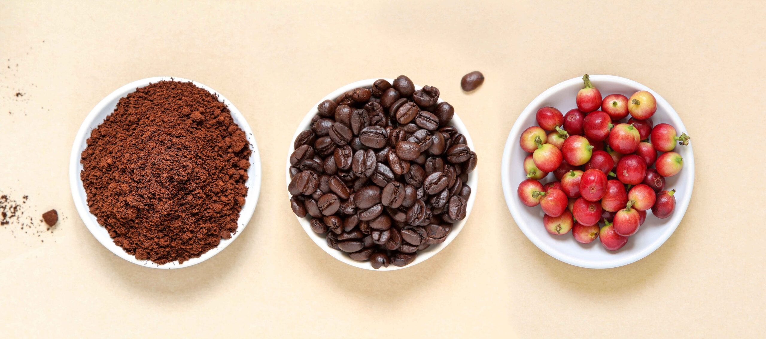 Chicago Vending Machine | Carol Stream Coffee Trivia | Elk Grove Village Break Room Services
